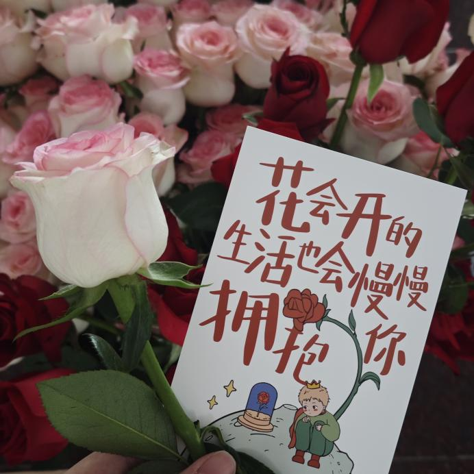 “玫瑰予你，浪漫自取”玫瑰自取...